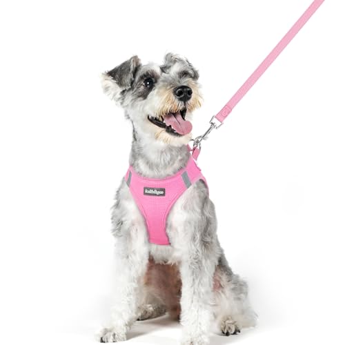 Dog Harness Medium Sized and Leash Set (Light Pink / Xl (chest: 20 - 21.8"))