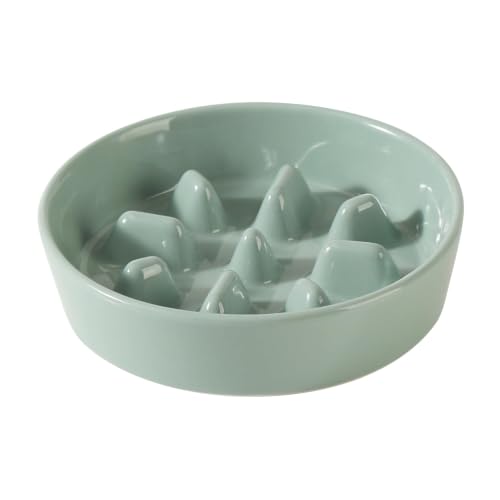 Ceramic Slow Feeder Dog Bowls (Light Green)