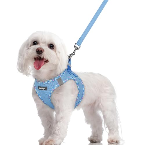 Dog Harness Medium Sized and Leash Set (Blue & Plaid Trim / M (chest: 16 - 18.5"))