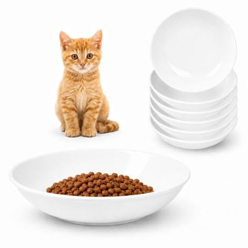Ceramic Cat Dishes for Food (White)