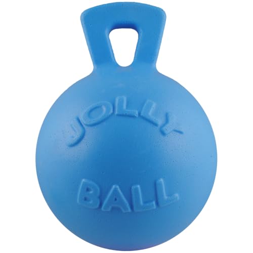 Tug-n-Toss Heavy Duty Dog Toy Ball with Handle, 8 Inches/Large, Blueberry (Blueberry / Large (8 in))