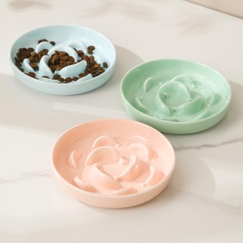 2 Pack Ceramic Cat Slow Feeder Bowl Set (White and Pink)