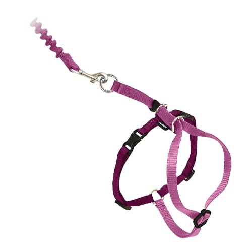 Come with Me Kitty Harness and Bungee Cat Leash (Large (Pack of 1) / Dusty Rose)