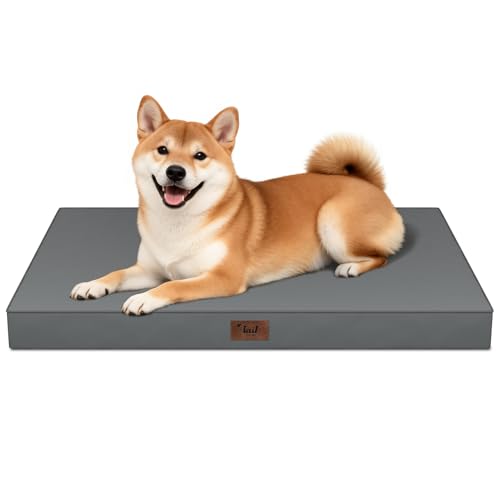 Outdoor Waterproof Orthopedic Dog Bed for Medium Size Dogs (Grey / 35.0"L x 22.0"W x 3.0"Th)