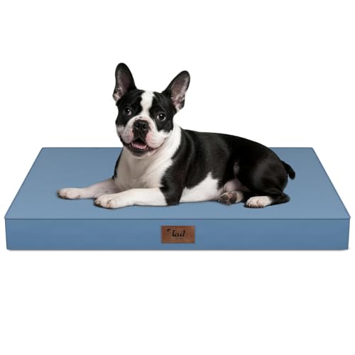 Orthopedic Waterproof Dog Bed for Small Dogs and Cats (Blue / 29.0"L x 18.0"W x 3.0"Th)