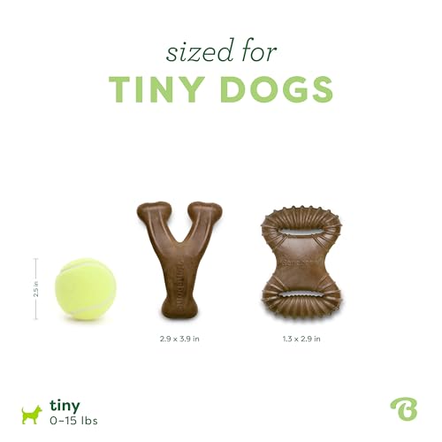 Tiny 2 Pack Dog Chew Toys (Extra Small / Wishbone / Dental)