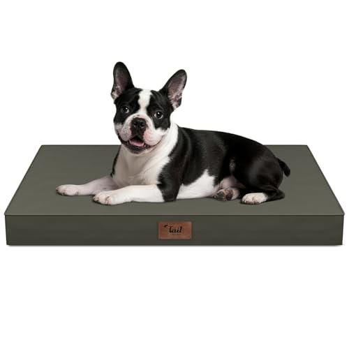 Orthopedic Waterproof Dog Bed for Small Dogs and Cats (Brown / 29.0"L x 18.0"W x 3.0"Th)