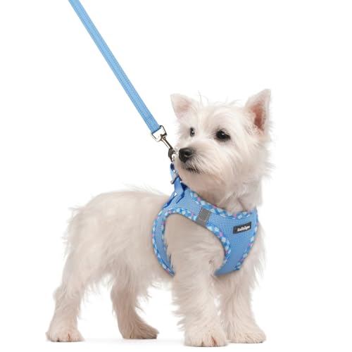 Dog Harness Small Sized and Leash Set (Blue & Plaid Trim / S (chest: 15.1 - 16.5"))