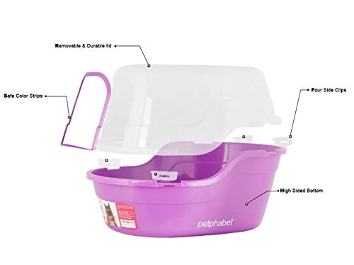 Covered Litter Box (Purple)