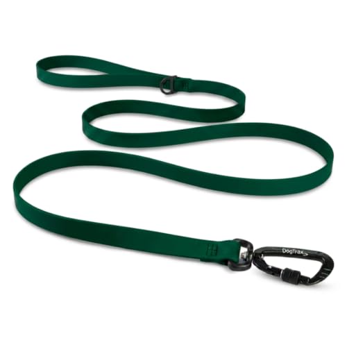 Essential Biothane Dog Leash (Emerald Green / 1 In x 5 Feet)