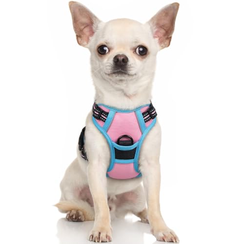 Dog Harness No Pull for Small Dogs with 2 Leash Clips (X-Small / Pink & Blue)