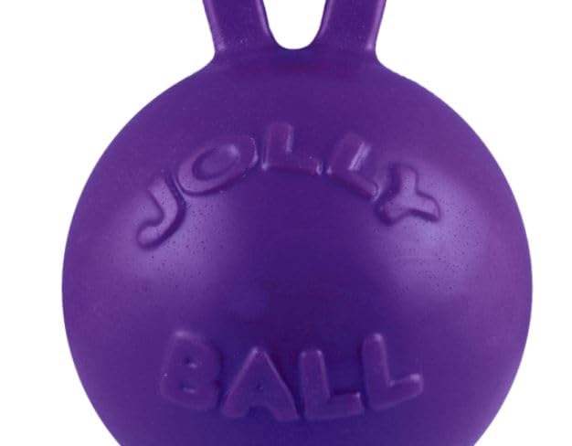 Tug-n-Toss Heavy Duty Dog Toy Ball with Handle, 4.5 Inches/Small, Purple (Purple / Small (4.5 in))