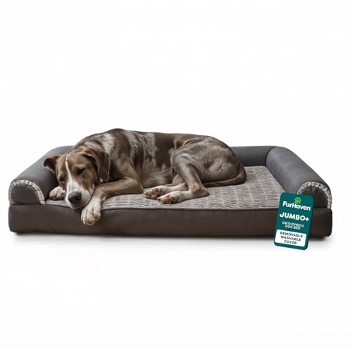 Orthopedic Dog Bed For Large Dogs (Jumbo Plus / Charcoal)