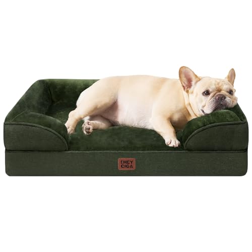 Orthopedic Small Dog Bed (Dark Green / 24.0"l X 18.0"w X 6.0"th)