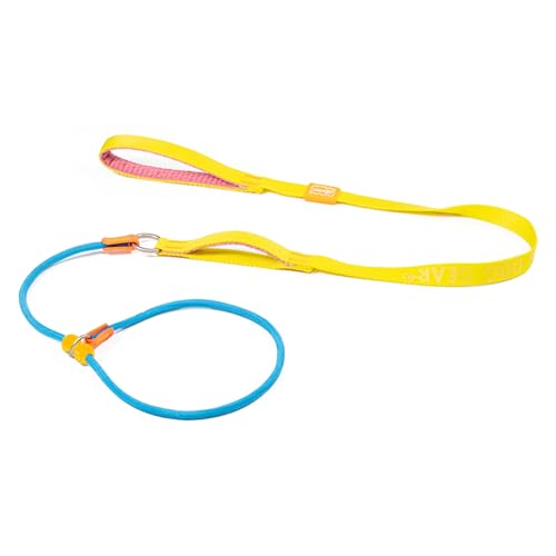 Slip Lead Dog Leash with 2 Spring (MultiColor / 5.0FT)