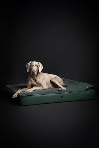 XL Dog Bed 45x35x9.1 Inch (Vegan Leather - Green / X-Large)