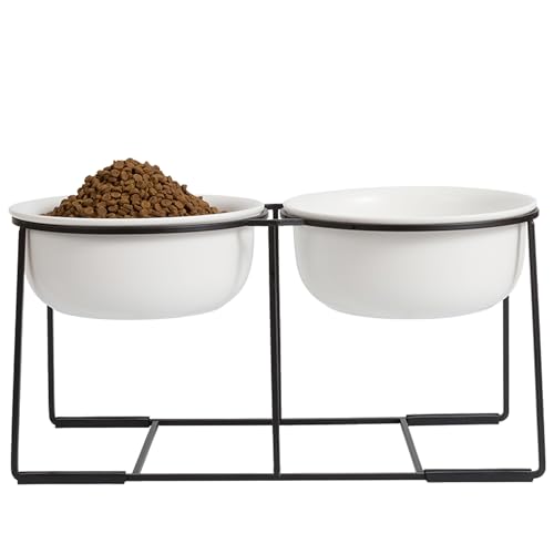 Ceramic Elevated Dog Bowl Set (Matte White / XL × 2)