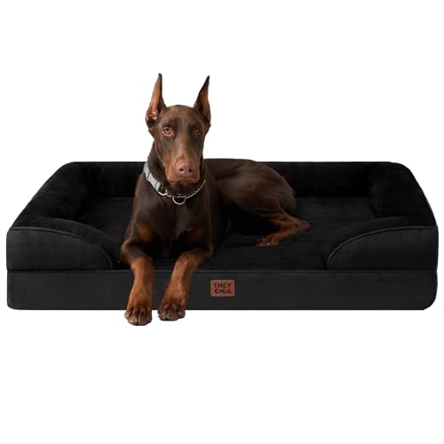 Orthopedic XXL Dog Bed (Black / 48.0"l X 35.0"w X 8.0"th)