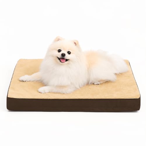 Waterproof Medium Dog Bed for Crate with Washable Cover (29.0"L x 18.0"W x 3.0"Th / Brown)