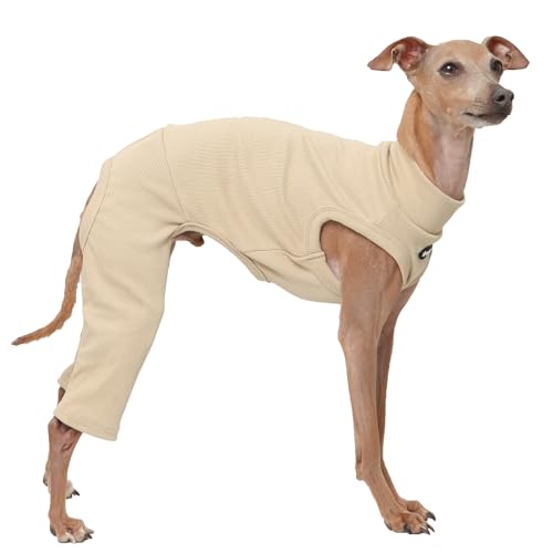 D Doggy Star Italian Greyhound Clothes High (L / COORDI BEIGE)