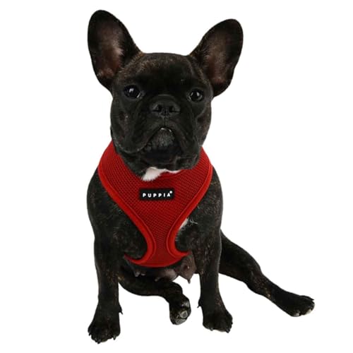 Soft Dog Harness (Wine / Small)