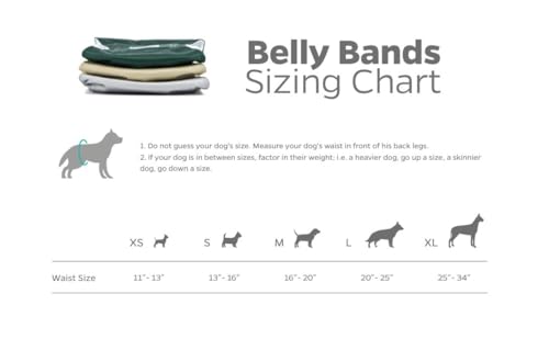 Washable Belly Bands for Male Dogs (Small (13-16") / Spruce)