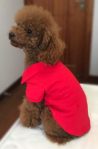 Basic Dog Polo Shirts Premium Cotton (XXXL (-75lbs) / Red)