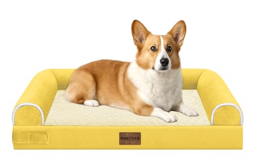 Orthopedic Dog Bed for Medium Dogs (Ginger / 30.0"L x 20.0"W x 6.0"Th)