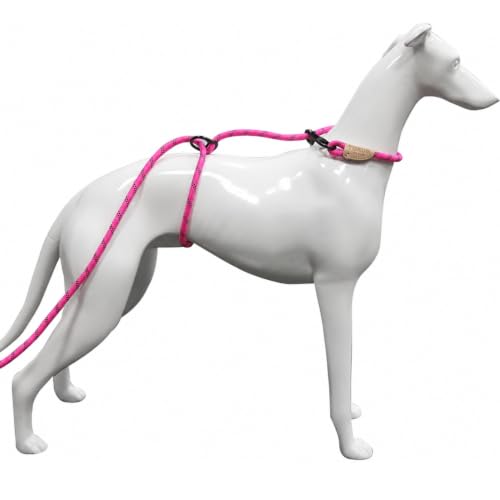 12ft No Pull No Choke Leash Long Rope Dog Leash (12 Ft / HOT PINK)