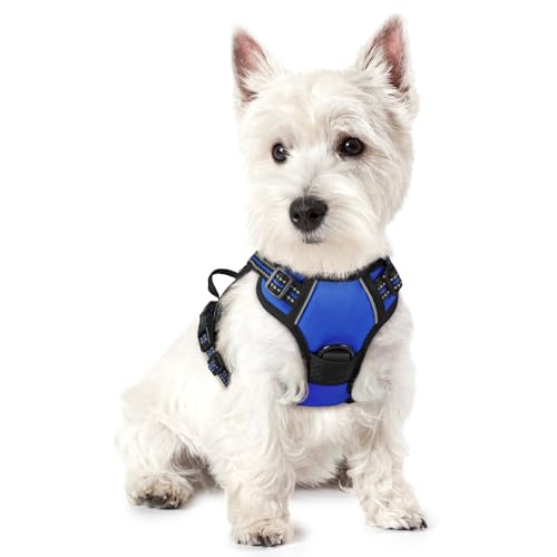 Dog Harness No Pull for Small Dogs with 2 Leash Clips (X-Small / Dazzling Blue)