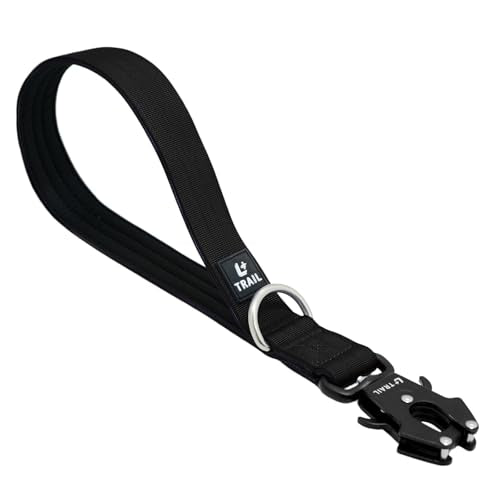 14 Inch Traffic Dog Leash with Padded Handle (Black)