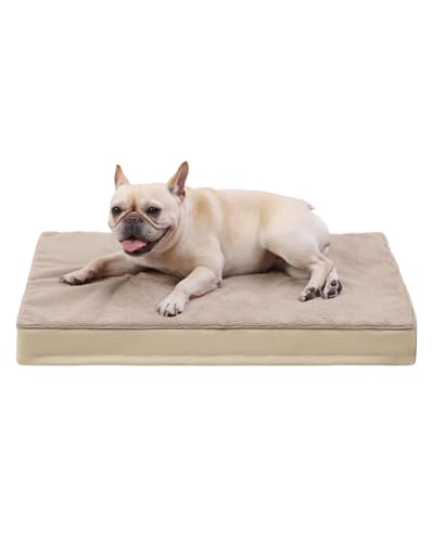 Orthopedic Dog Bed for Medium Dogs with Waterproof Lining (Khaki / 29.0"L x 18.0"W x 3.0"Th)