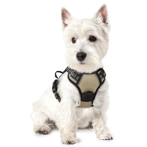 Dog Harness No Pull with 2 Leash Clips (X-Small / Beige)