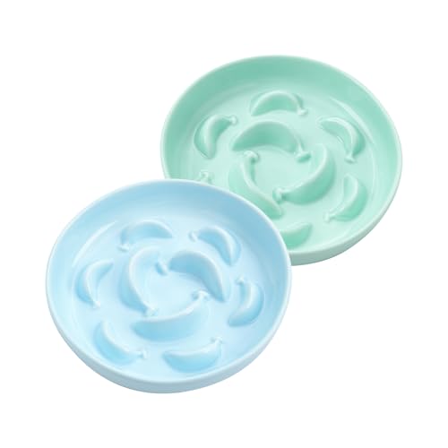 2 Pack Ceramic Cat Slow Feeder Bowl Set (Blue and Green)