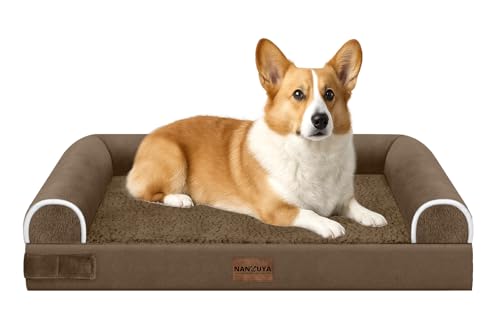 Orthopedic Dog Bed for Medium Dogs (Coffee / 30.0"L x 20.0"W x 6.0"Th)