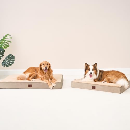 Orthopedic Dog Bed Large with Removable Washable Cover (35*23*3.5 inches / khaki)
