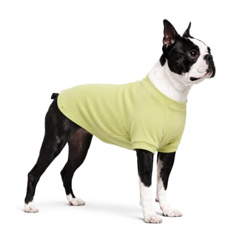 Ribbed Dog T Shirt Cotton Knitted Dog Sweaters for All Season Pet T (XL (for Medium Dog) / Chartreuse)