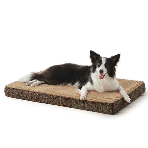 Orthopedic Dog Bed for Large Dogs (L(35"x22") / Brown)