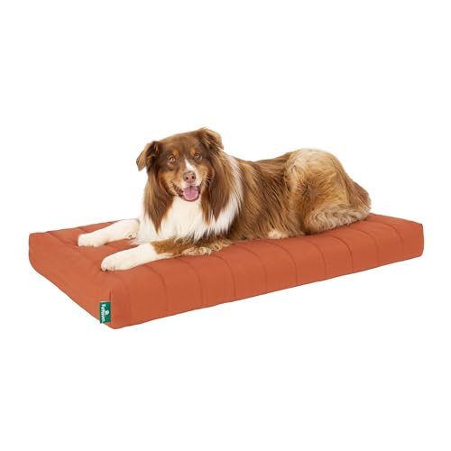 Orthopedic Dog Bed (X-Large / Rust)