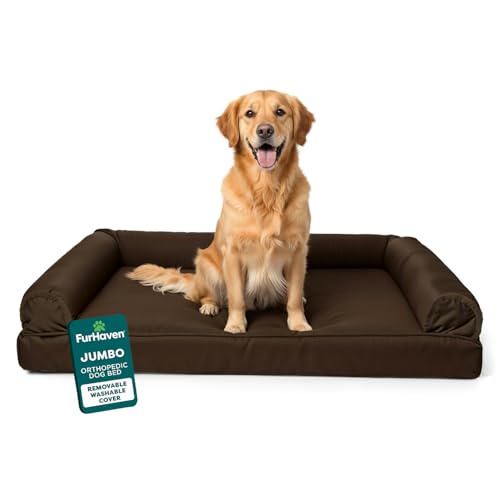 Orthopedic Dog Bed for Large Dogs w (Jumbo / Espresso)