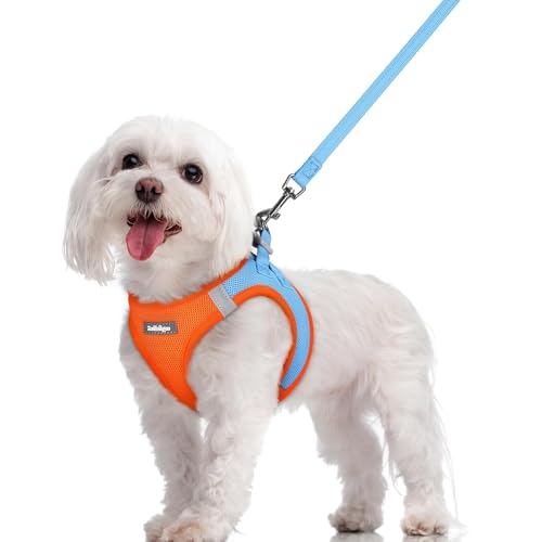 Dog Harness Medium Sized and Leash Set (Blue & Orange / M (chest: 16 - 18.5"))