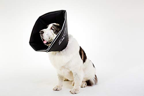 Comfy Cone Pet Cone for Dogs (Black / XXL(Neck to Nose 14.5"))