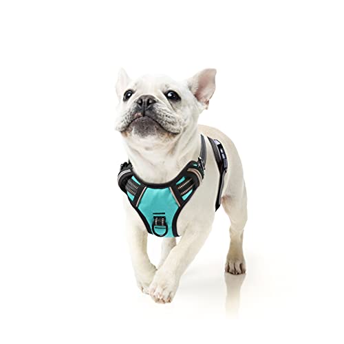 Dog Harness Dog Harness Small Dog No Pull Harness wiht Soft Handle Reflective Harness Adjustable (S / Turquoise)