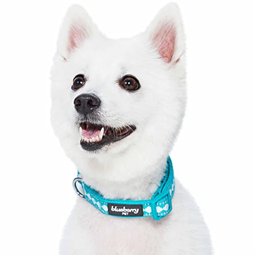 3 Colors 3M Reflective Jacquard Neoprene Padded Adjustable Dog Collar (Small / Polyester Buckle- Peacock)