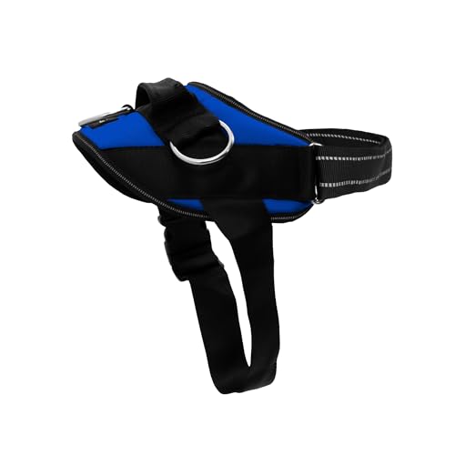 Essential Dog Harness (Electric Blue / XL)