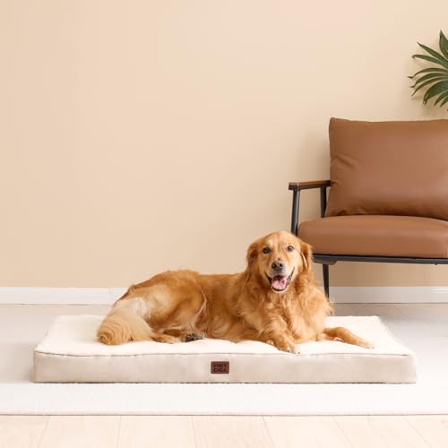 Orthopedic Dog Bed Large with Removable Washable Cover (36*27*3.5 inches / Camel)