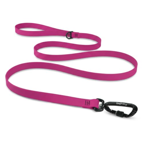 Essential Biothane Dog Leash (Magenta / 3/4 In x 4 Feet)