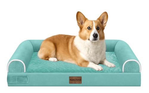 Orthopedic Dog Bed for Medium Dogs (Aqua Blue / 30.0"L x 20.0"W x 6.0"Th)