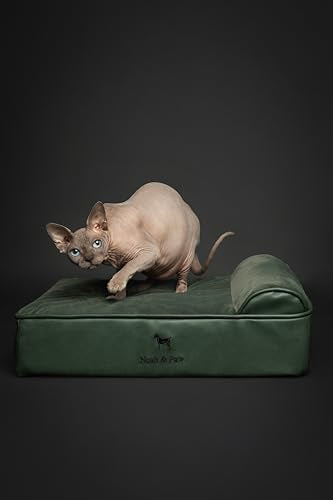 Small Dog Bed (Vegan Leather - Green / Small)