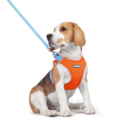 Dog Harness Medium Sized and Leash Set (Blue & Orange / L (chest: 18.2 - 20.5"))